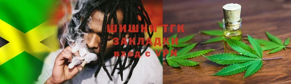 mdpv Богородицк