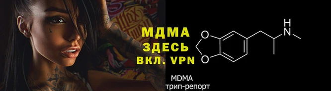 ПСИЛОЦИБИНОВЫЕ ГРИБЫ Богородск