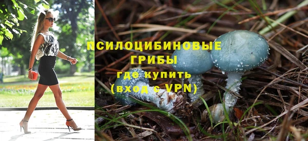 ПСИЛОЦИБИНОВЫЕ ГРИБЫ Богородск