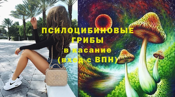 ПСИЛОЦИБИНОВЫЕ ГРИБЫ Богородск