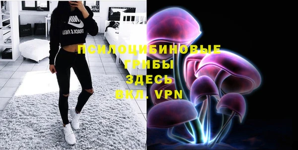 мет Богданович