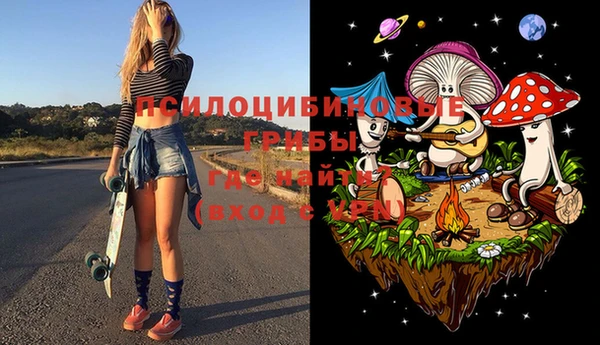 ПСИЛОЦИБИНОВЫЕ ГРИБЫ Богородск