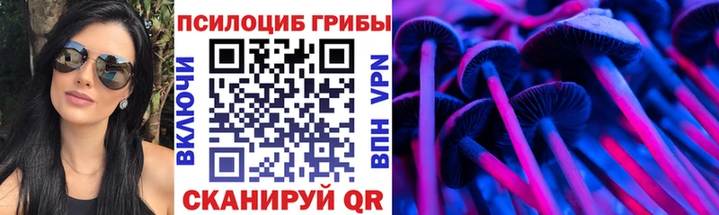 Купить  Краснотурьинск  Галлюциногенные грибы Psilocybine cubensis 