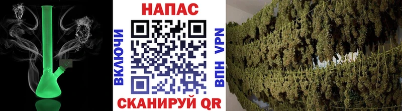 Купить где  Краснотурьинск  Конопля индика 
